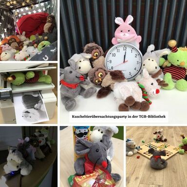 Eine Collage aus sechs Fotos zeigt verschiedene Stofftiere, die für unterschiedliche Szenarien in einer Schulbibliothek drapiert wurden, darunter vier Stofftiere, die vor einem "Mensch-ärgere-dich-nicht"-Spiel sitzen.