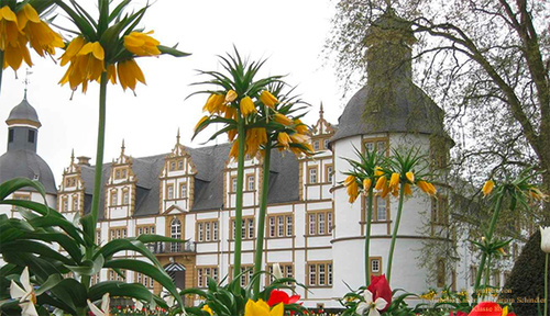 Ein weißes Schloss mit grauem Dach und Türmen, umgeben von einem Garten mit gelben und roten Blumen.