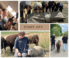 Eine Collage aus vier Fotos zeigt zwei Personen bei einem handwerklichen Projekt, eine Gruppe von Menschen, die Kunstrasen verlegen, eine Jugendliche inmitten von Schafen und zwei Menschen, die mit einem Pferd spazieren gehen.