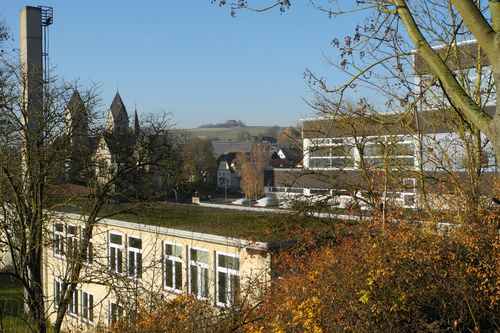 Ein beigefarbenes Gebäude mit grünem Dach und weißen Fenstern steht inmitten des Herbstlaubs, mit einem Kirchturm in der Ferne.