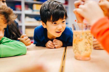 Ein kleiner Junge in einem blauen Pullover lächelt, während er fasziniert ein Experiment in einem Glas beobachtet, umgeben von einer Gruppe von Kindern in einem Klassenzimmer.