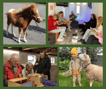 Eine Collage aus vier Fotos zeigt ein braun-weißes Shetlandpony, eine Gruppe von Menschen im Innenraum der Tiny Church, drei Personen am Demenzsimulator und einen kleinen Jungen mit einem Schaf.