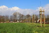 Eine Reihe von Baumsetzlingen steht in einem üppigen grünen Feld, mit einem Holzzaun und Häusern in der Ferne, unter einem klaren blauen Himmel.