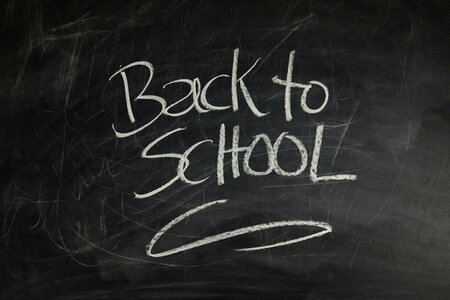 Auf einer schwarzen Tafel steht mit weißer Kreide der Satz "Back to school" (Zurück in die Schule).