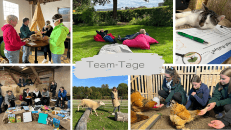 Eine Collage aus sechs Fotos zeigt Menschen bei verschiedenen Aktionen: in einer Scheune, einem Garten, auf dem Heuboden und zusammen mit den Tieren des Bauernhofs.