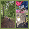 Eine Collage aus drei Fotos zeigt einen Waldpfad, eine Gruppe von Kindern auf Entdeckungsreise und einen Baumstamm, der von Kindern verziert wird.